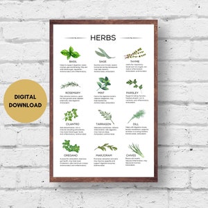 Herbs for Health Print, Digital Download, Herbs Poster, Herb Guide, Kitchen Herb Chart, Culinary Herb Chart, Kitchen Wall Art, Chef Print