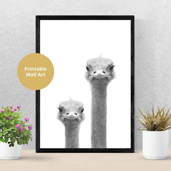 Ostrich Print, Digital Download, Black and White Photo, Funny Crazy, Bird Lover, Ostrich Wall Art Printable, Ostrich Poster, Quirky Cute