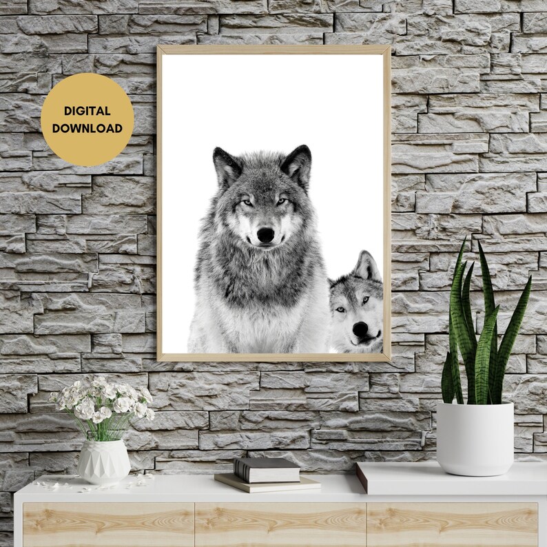 May include: Black and white photograph of two wolves. The wolf in the foreground is looking directly at the viewer. The wolf in the background is looking to the side. The image is set against a white background.