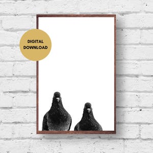 Pigeons looking in, digital download, black and white, wall art, digital print, funny, birds, printable, quirky, gift, Pigeon Picture