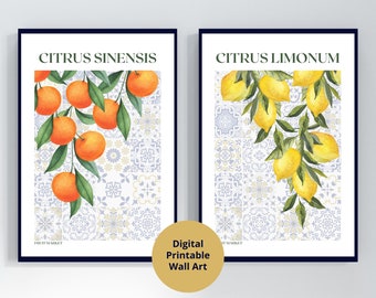 Citrus Fruit Print Set, Digital Download, Set of 2 Citrus Art, Orange Lemon Poster, Fruit Market Print, Citrus Prints, Fruit Digital Prints