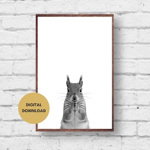 Praying Squirrel Photo Print Black and White, Digital Download, Cute Squirrel Art Print, Squirrel Print, Squirrel Photo, Squirrel Wall Art