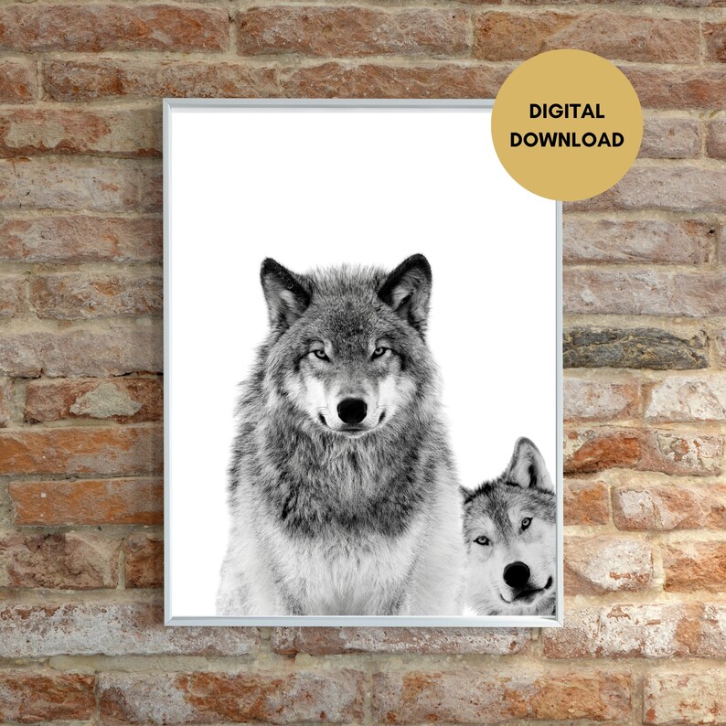 May include: Black and white photograph of two wolves. The wolf in the foreground is looking directly at the viewer, while the wolf in the background is looking to the side. The wolves are set against a white background.