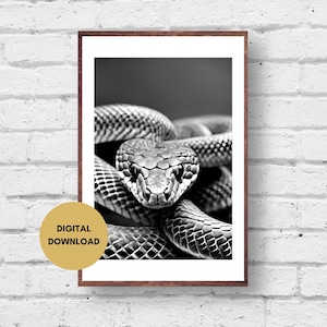 Könnte beinhalten: Ein Schwarzweißfoto einer Schlange, die mit dem Kopf zur Kamera zeigt. Die Schlange ist zusammengerollt und ihre Schuppen sind sichtbar. Der Hintergrund ist dunkelgrau.