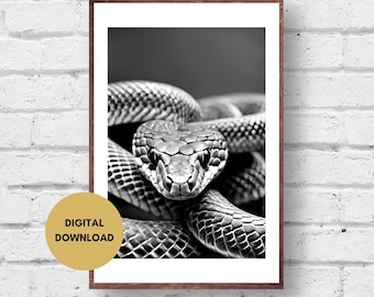 Impression serpent, téléchargement numérique, photo de serpent, noir et blanc, imprimable, art mural serpent, art reptile, impression photo, cadeau pour amoureux des serpents