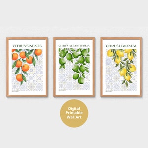 Impresiones de cítricos, descarga digital, juego de 3, impresión de naranja, impresión de lima, impresión de limón, arte mural de frutas, decoración de cocina imprimible