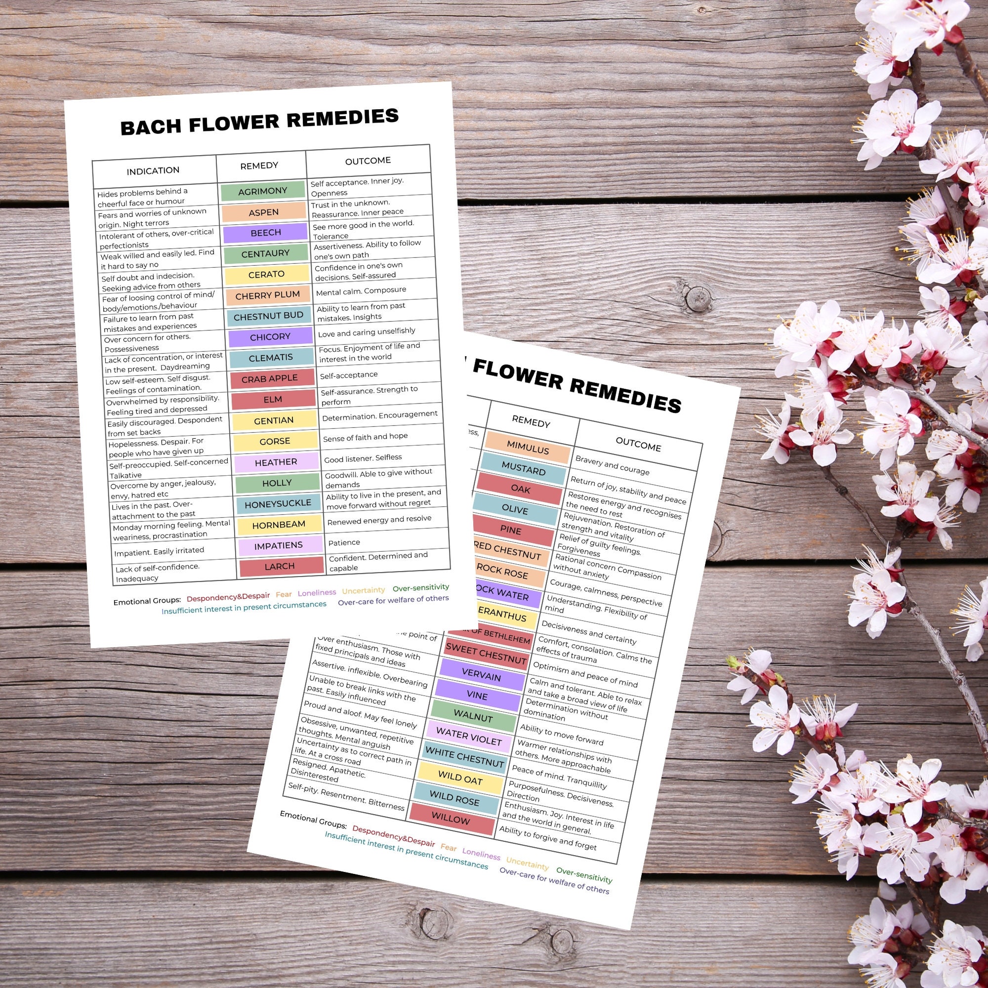 Bach Flower Remedies Chart, 38 Bach Flower Remedy Poster, Bach Flower