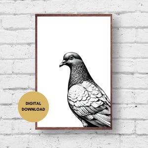 Taube Skizze Druck, schwarz und weiß, digitaler Download, Taube druckbare Wandkunst, Vogel Wandkunst, Taube Bild, Taube Druck, Vogel Bild