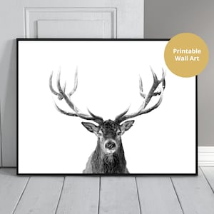 Download digital de impressão de rena, foto legal de rena em preto e branco para impressão, arte de parede de imagem de rena, impressão digital de pôster, decoração para casa