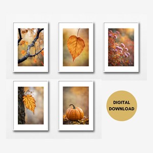 May include: Set of five digital prints featuring autumnal imagery. The prints include a close-up of a single orange leaf, a branch with several orange leaves, a pumpkin on a bed of fallen leaves, a cluster of pink flowers, and a single orange leaf on a branch.