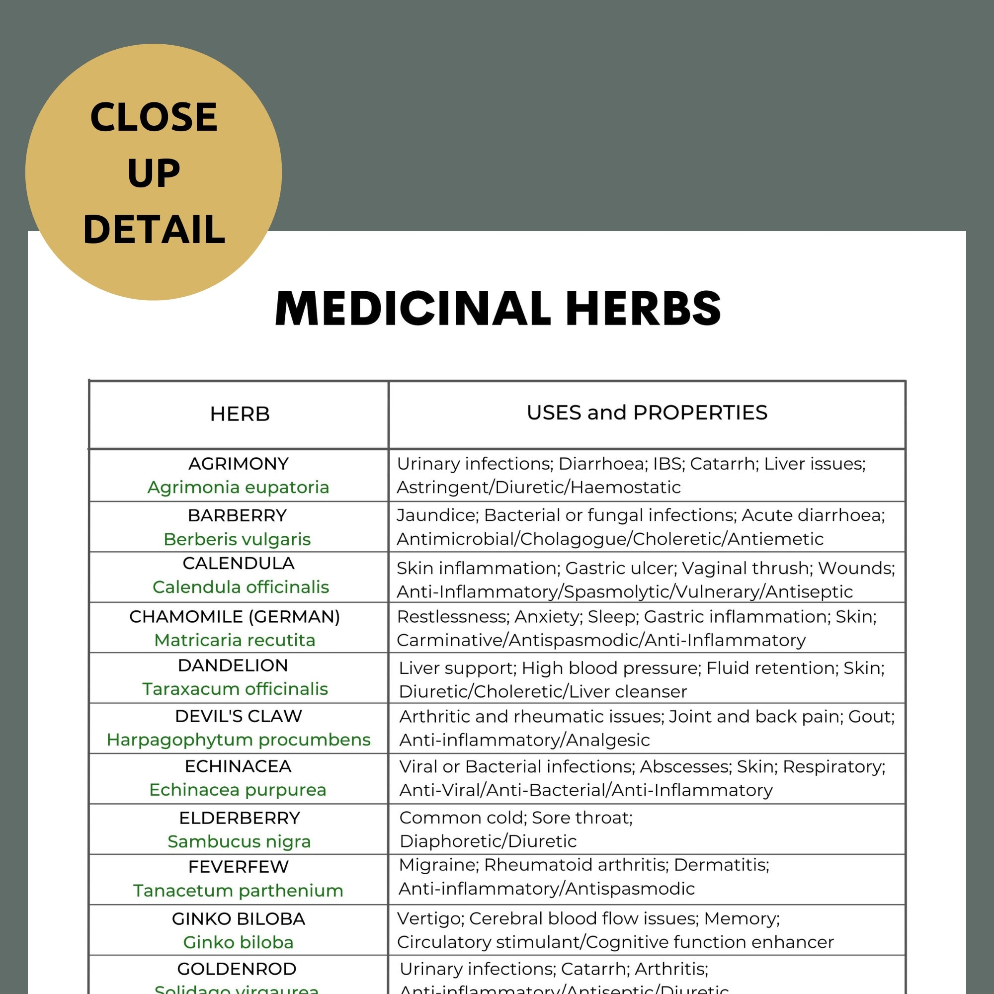 Medicinal Herb Guide Digital Download Herb Reference Guide Etsy Canada