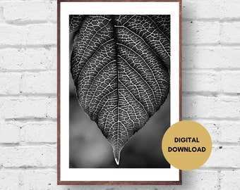Lövfoto, svartvitt, digital nedladdning, lövväggkonst, lövtryck, botaniskt foto, växtväggkonst, fototryck, naturväggkonst