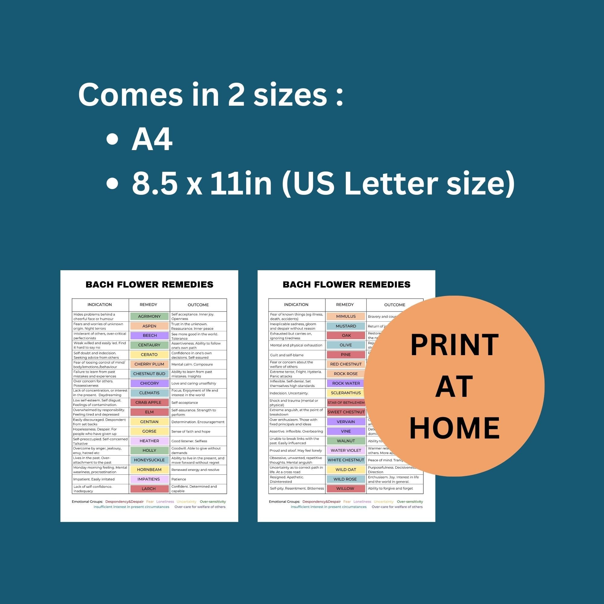 Bach Flower Remedies Chart, 38 Bach Flower Remedy Poster, Bach Flower