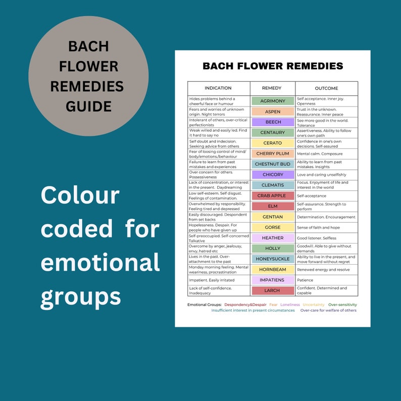 Bach Flower Bundle, Bach Flower Remedies Guide, Chakra Bach Flower