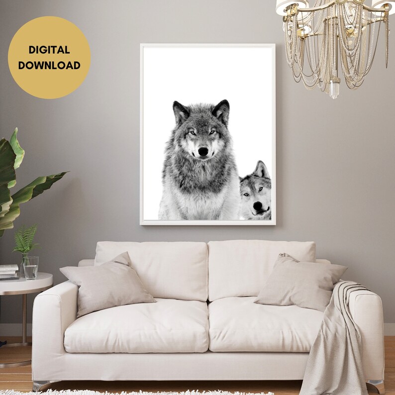 May include: Black and white photograph of two wolves. The wolf in the foreground is looking directly at the camera. The wolf in the background is looking to the side. The background is white.