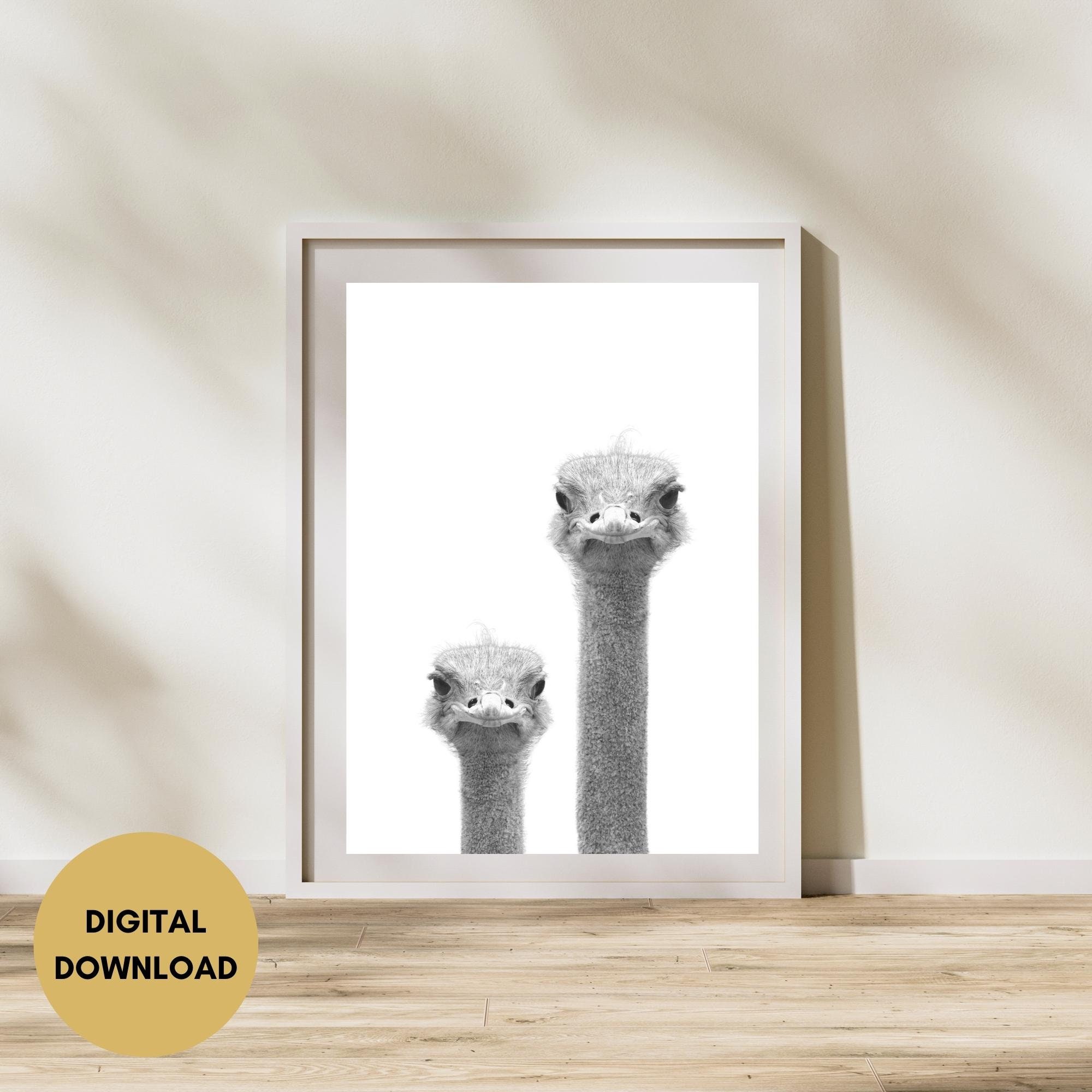 Strauß Druck, digitaler Download, schwarz weiß Foto, witzig verrückt