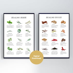 Herb and Spice Print Set, Digital Download, Healing Herbs and Spice Poster Set, Kitchen Herbs Print, Spice Guide, Kitchen Infographic