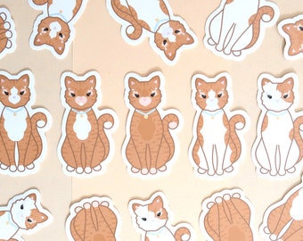 Ginger Cat Cat Die Cut Sticker | Cute Cat Breed Die Cut Sticker | Cat Lover Gift