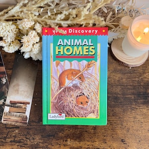 Animal Homes, 1997 Ladybird Book, Vintage Children&#39;s Book, Hardback Ladybird Collectable Book