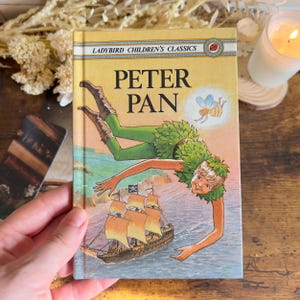 Peter Pan, 1981 Marienkäferbuch, illustriertes Vintage Kinderbuch, Hardcover Marienkäfer Sammlerbuch
