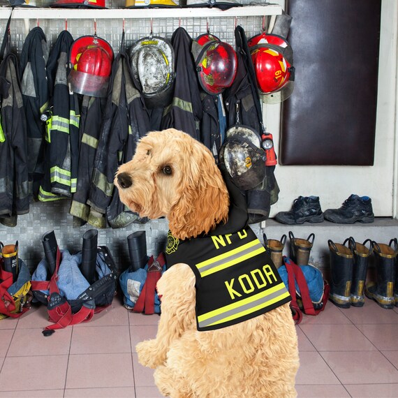Personalized Fireman Dog Hoodie Fire Department Dog Shirt Custom Fireman s Dog Hoodie Halloween Costume for Dog Dog Fire Parade Shirt Etsy Canada