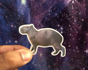 CAPYBARA 2.50x1.50 Sticker - High Quality Matt Vinyl and Waterproof - For laptop, fridge or car. Great gift.