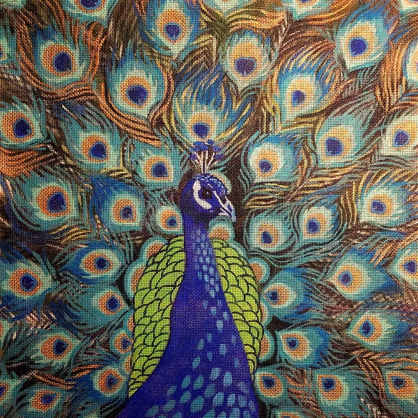 Peacock Needlepoint Canvas Etsy