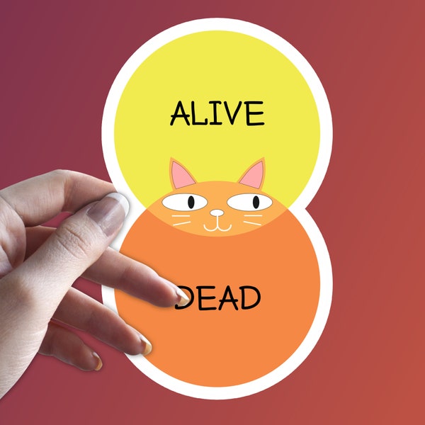 Yellow Orange Cat Sticker Katze Schrödinger's cat Meme Venn Diagramm Lustiger Aufkleber // Gratis Versand