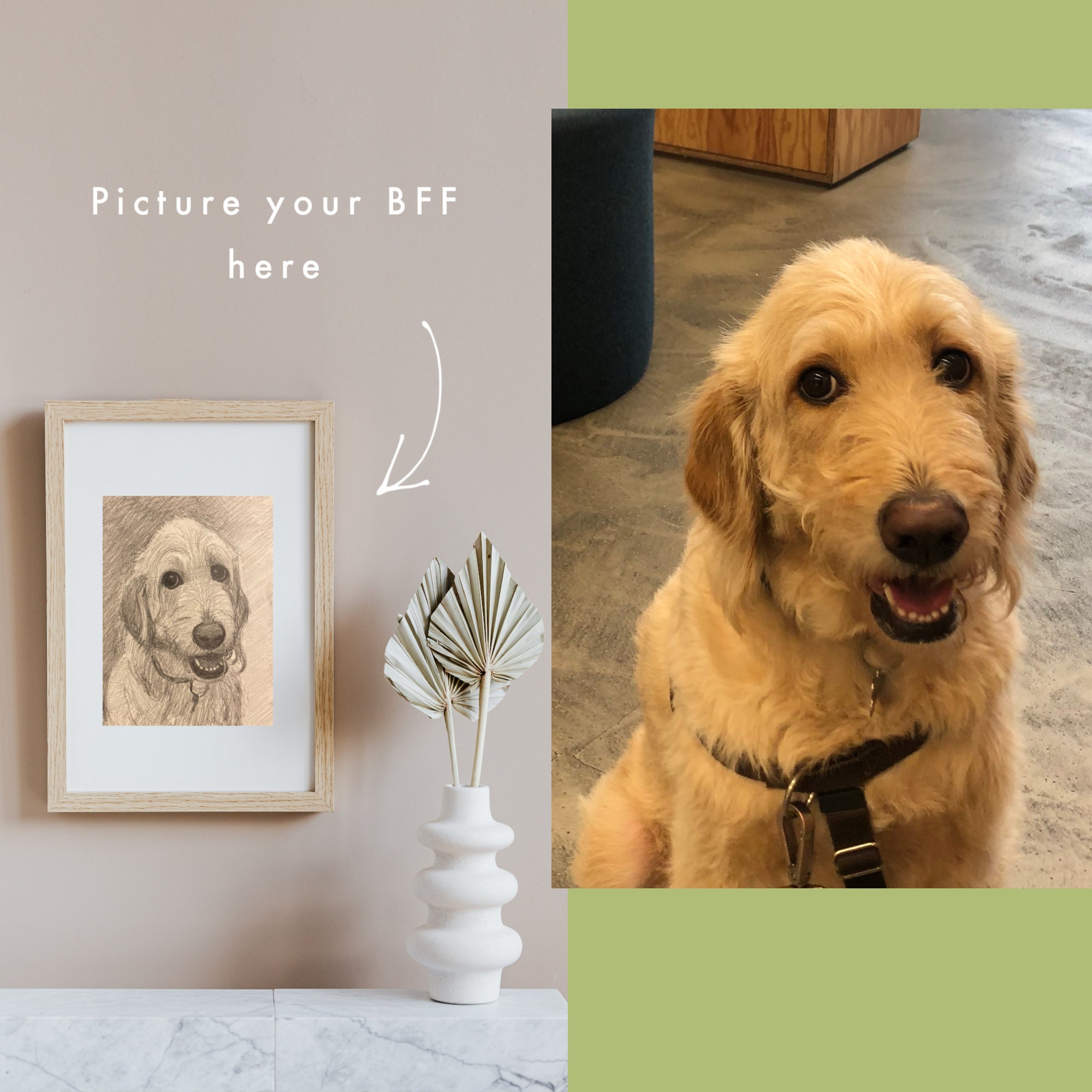 Custom Hand Drawn Graphite Pet Portrait - Etsy