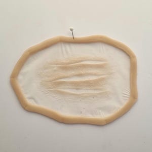 Pode incluir: Uma ferida protética, com uma borda bege clara e três cortes paralelos texturizados. O centro tem uma textura mais clara e granulada. Um alfinete de cabeça branca fixa a prótese.