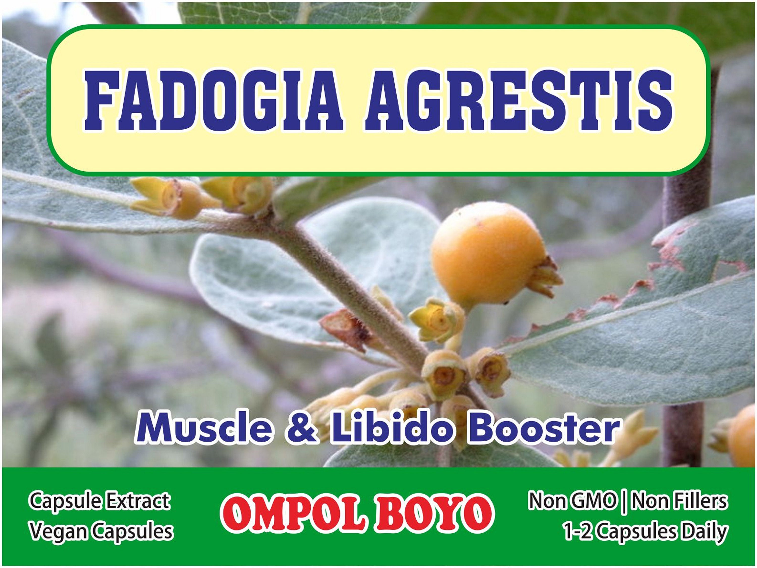 Pure Fadogia Agrestis Capsules Extract Organic 100% - Etsy What is the best ratio extract for fadogia agrestis