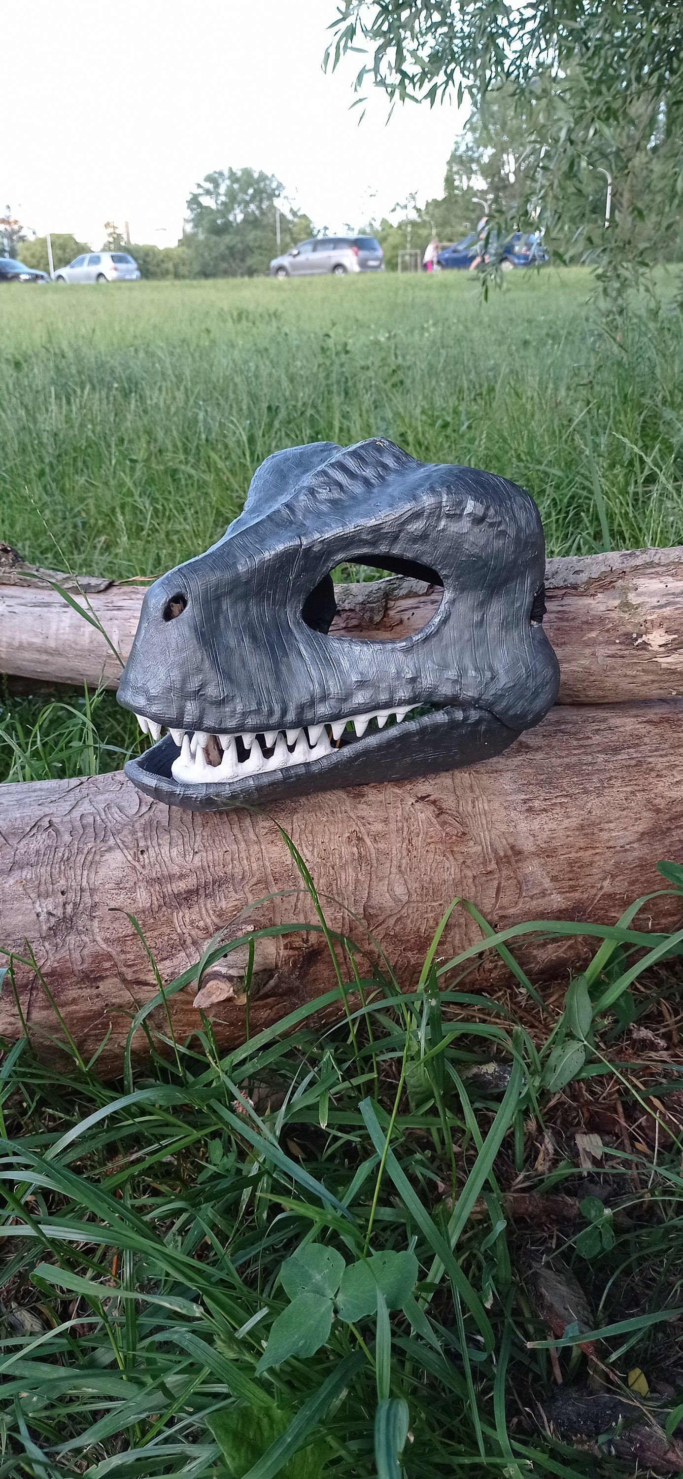 Raptor Mask 3D Model STL for Print Etsy Australia
