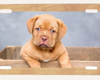 Personalized Photo License Plate | Custom Sublimation Car Tag