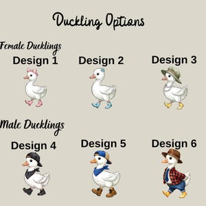 illustrations of female and male ducks, along with their corresponding design options.