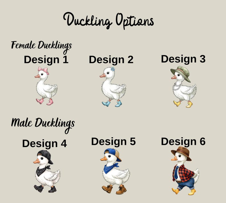 illustrations of female and male ducks, along with their corresponding design options.