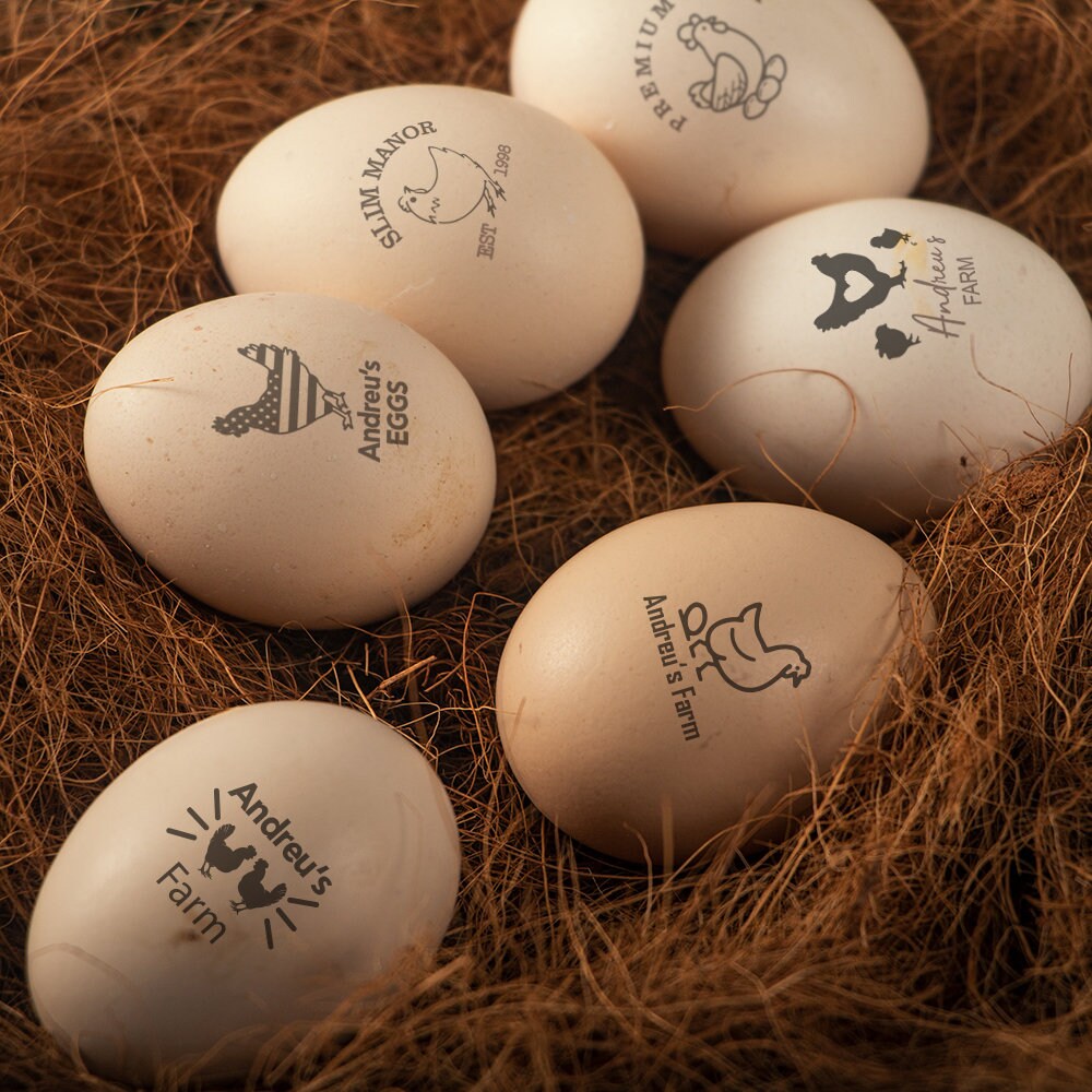 Farm Fresh Eggs / Custom Egg Stamp / Egg Carton Stamp / Egg Etsy