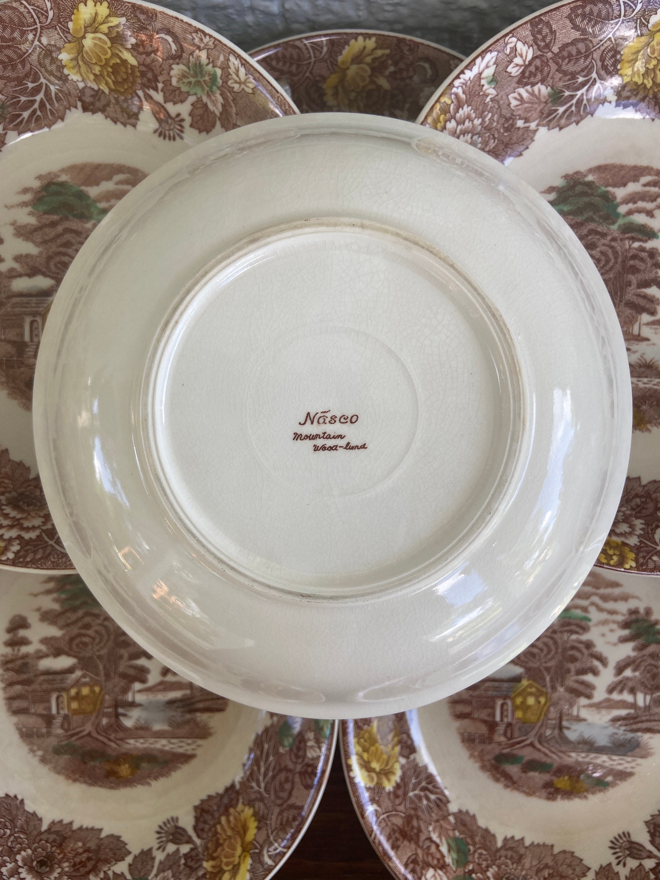 Vintage Nasco Mountain Wood-land Large Decorative Soup Bowls, Set of 8 ...