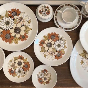 Könnte beinhalten: Ein Set Vintage-Geschirr mit floralem Muster, bestehend aus Tellern, Schalen und einer Servierplatte. Das Geschirr zeigt ein braunes, orangefarbenes und weißes Blumenmuster.
