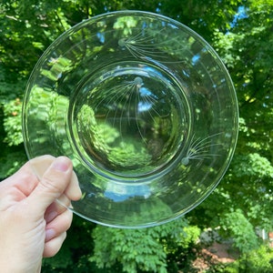 May include: A clear glass plate with a delicate etched design of two stylized flowers. The plate has a slightly raised rim and is perfect for serving desserts or appetizers.