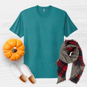 May include: A teal crew neck t-shirt is displayed with a small orange pumpkin, a red, black, and white plaid scarf, and a pair of white sneakers. The words "shameless labels" are watermarked across the image.