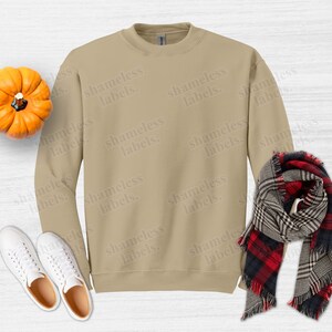 May include: A beige sweatshirt with the text "shameless labels." repeated on the front. The sweatshirt is laying flat on a white wooden surface with a pumpkin and a plaid scarf.