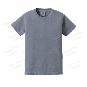 May include: A plain, light blue t-shirt with short sleeves. The shirt has a crew neck and is made of a soft, comfortable fabric.