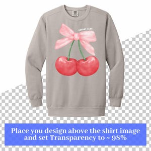 May include: A gray long-sleeve sweatshirt with a pink bow and two red cherries on the front. The text "CHERRY CLUB" is printed on the sweatshirt.