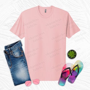 May include: A light pink crew neck t-shirt, blue denim jeans, pink sunglasses, a small potted succulent, and a pair of colorful geometric pattern flip-flops. The text "shameless labels" is watermarked across the image.