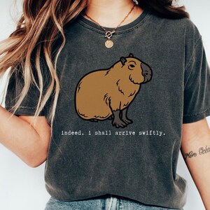 Capybara Comfort Colors Shirt, Capybara Funny Meme Tee, Weird Meme Shirt, Gift for Capybara Lover TShirt, Rodent Tee, Gen Z Meme Shirt