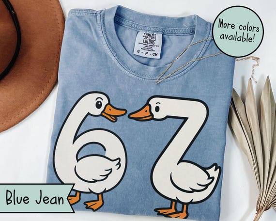 Funny 67 Goose Shirt, Silly Brain Rot Teacher Shirt, Goose