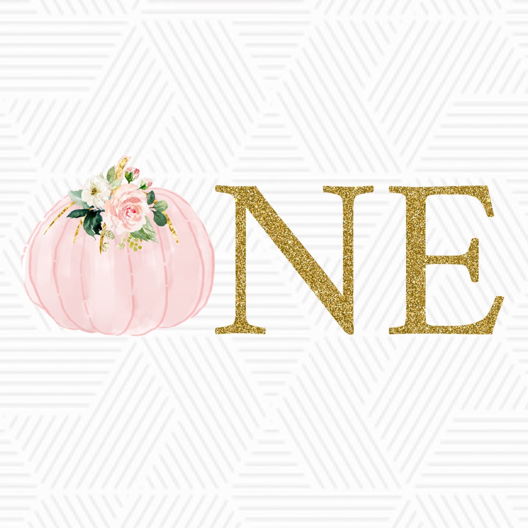 Pumpkin First Birthday Shirt Design Pink Floral Pumpkin 1st ONE ...