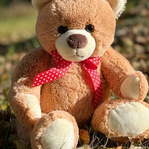 May include: A brown teddy bear with a red and white polka dot bow tie sitting on a bed of green grass and brown leaves.
