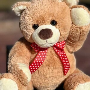 May include: A brown teddy bear with a red and white polka dot bow tie. The bear is sitting on a wicker chair.