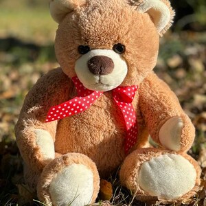 May include: A brown teddy bear with a red and white polka dot bow tie sitting on a bed of brown leaves and green grass.